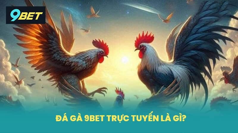 Giới thiệu về đá gà 9Bet