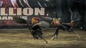 Trải nghiệm chân thực, hình ảnh sắc nét