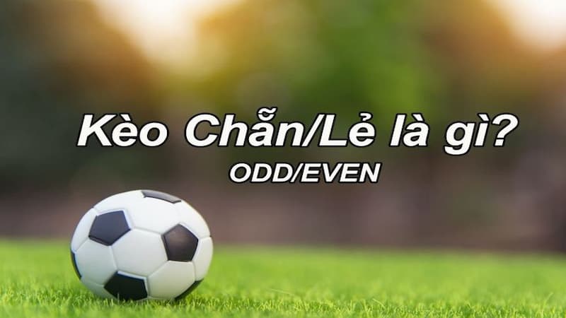 Cách đọc kèo Chẵn - Lẻ