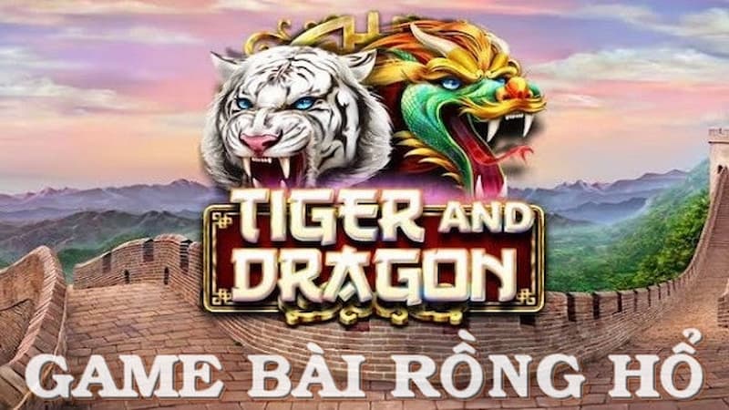 Đâu là lý do nên lựa chọn tham gia Rồng Hổ 9Bet?